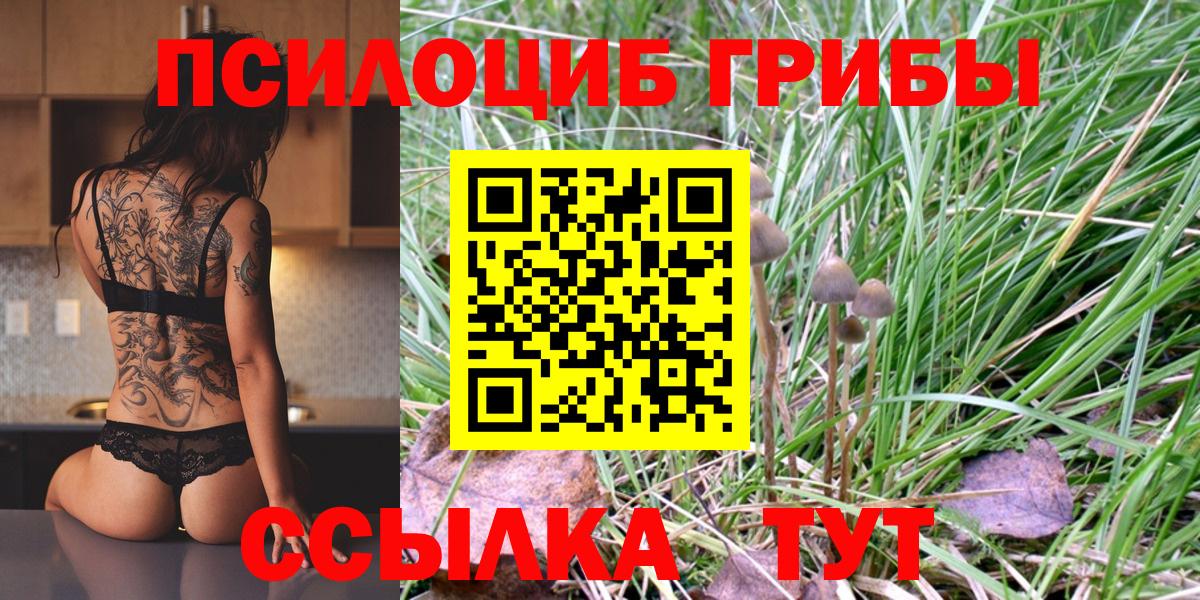 Псилоцибиновые грибы GOLDEN TEACHER Гусь-Хрустальный